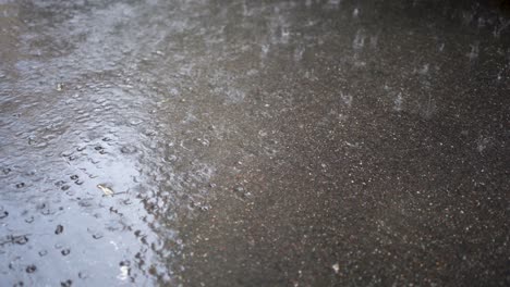 raindrops hitting wet asphalt surface, creating ripples and splashes, close-up, daylight