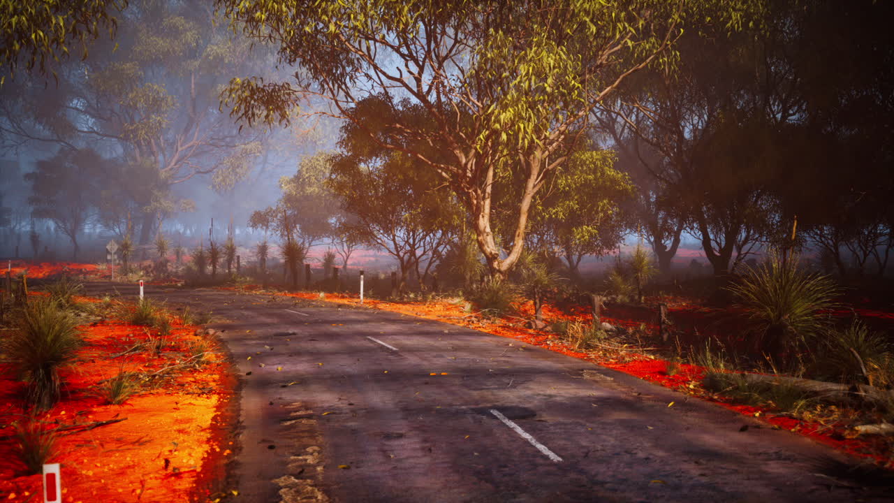 활기찬 은 땅과 울창한 나무들을 가로질러 휘어지는 길의 경치 좋은 풍경