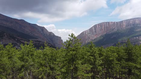 Congost-de-Mont-Rebei-Canyon-at-Ager,-Catalonia-and-Aragon,-Spain---Aerial-Drone-View-of-the-Trees-and-Mysterious-Dark-Canyon