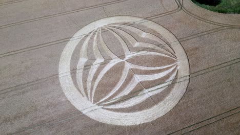 Aerial-view-rotating-above-strange-symmetrical-Warminster-crop-circle-pattern-carved-into-rural-farmland-field