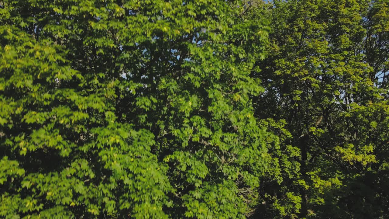 Vilande is a small town in Estonia