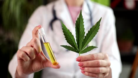 doctor holding cannabis leaf and cbd oil test tube