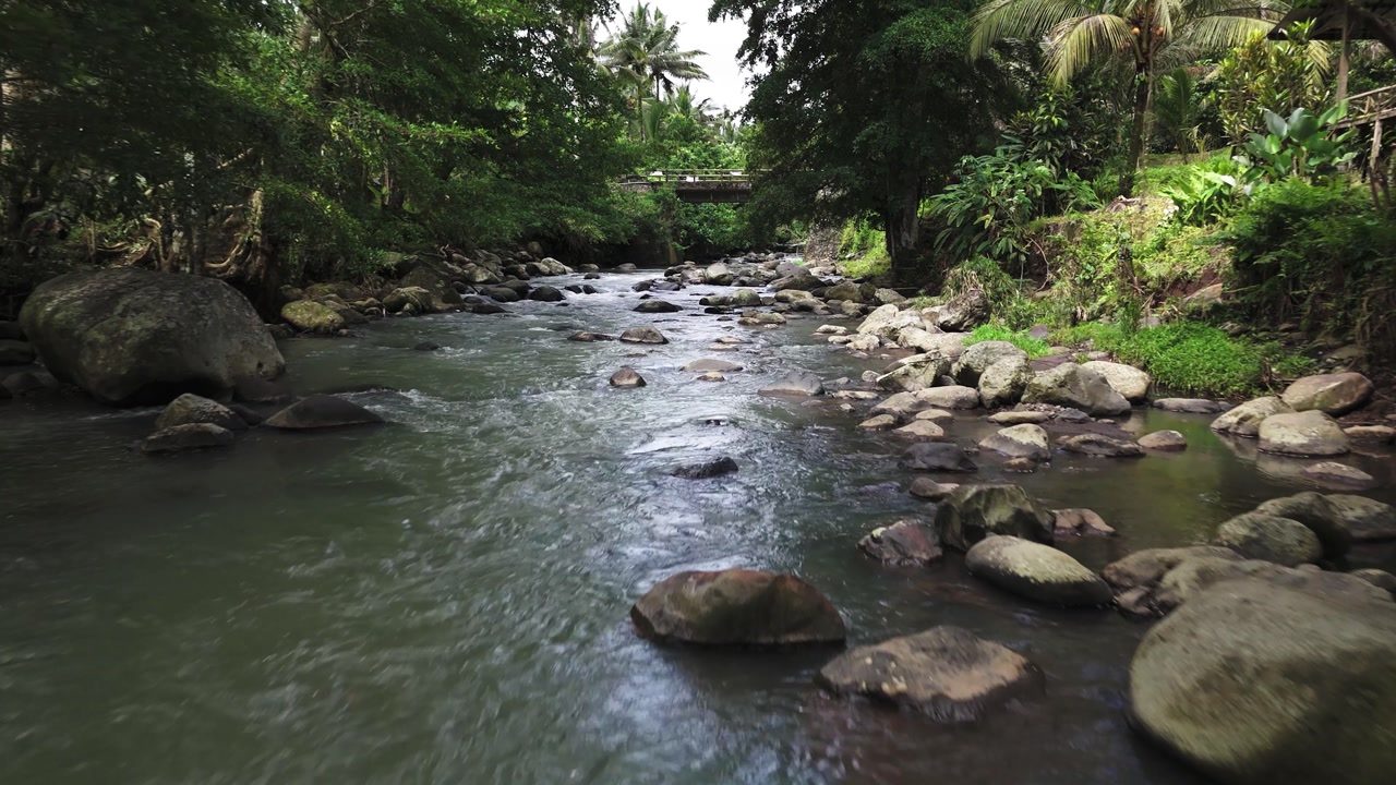 Fly over river in Bali, Indonesia