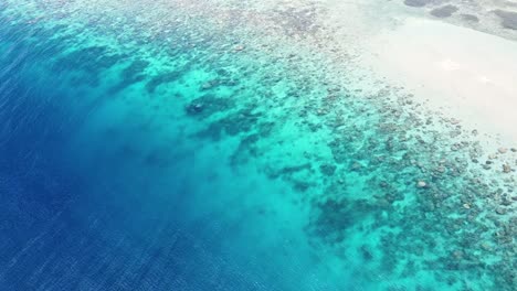 Vista-De-Pájaro-Del-Impresionante-Arrecife-De-Coral-Biodiverso