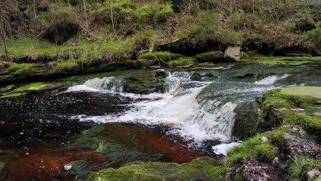 Langsam-Fließender-Waldbach-Wasserfall,-Ruhige-Szene-Der-Natur-Mit-Ruhigem-Teich-Darunter,-üppiges-Grün-Und-Moosbedeckte-Steine,-Gefühl-Der-Ruhe-Und-Unberührte-Schönheit-Der-Natur-Im-Waldökosystem