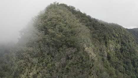 4K-drone-shot-of-a-big-mountain-covered-with-trees-and-green-bushes-on-a-cloudy-day-at-Border-Ranges-National-Park,-New-South-Wales-in-Australia