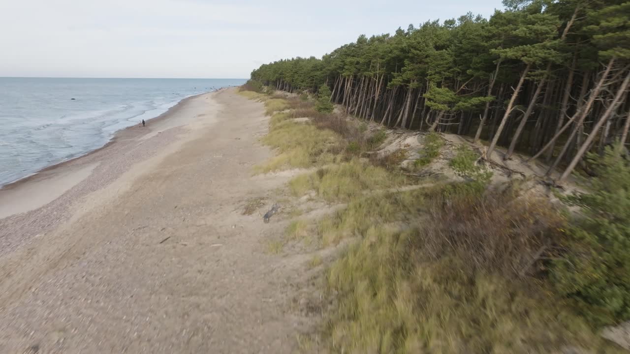 Аэрофотоснимок побережья Балтийского моря с песчаными дюнами, пляжем и зеленым сосновым лесом