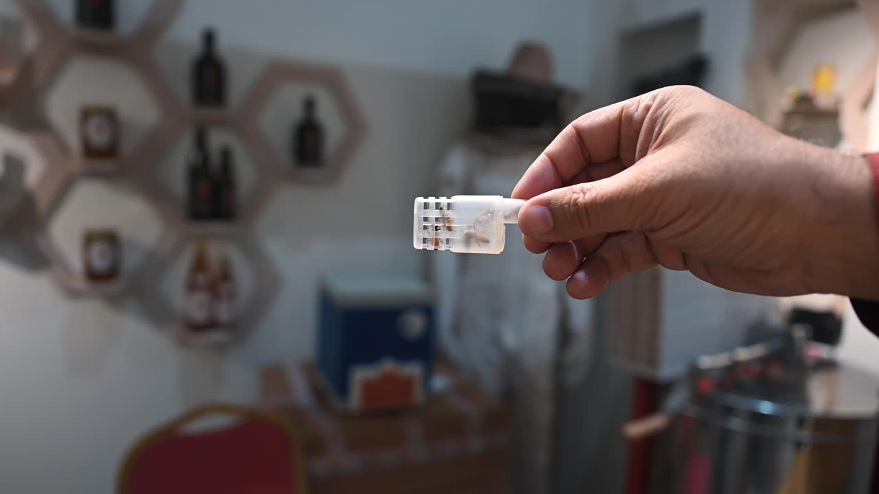 Containers holding Middle Eastern bee which was available for sale at Dubai's Honey Festival