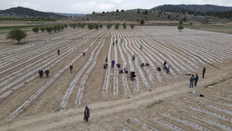 agricultores trabajando vista de avión no tripulado