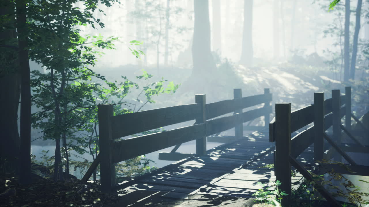 Misty forest pathway with wooden bridge surrounded by lush trees