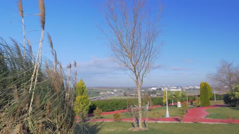 In-Nea-Kallikratia-Greece-seen-picturesque-urban-landscape---trees-and-bushes-sway-in-a-strong-wind