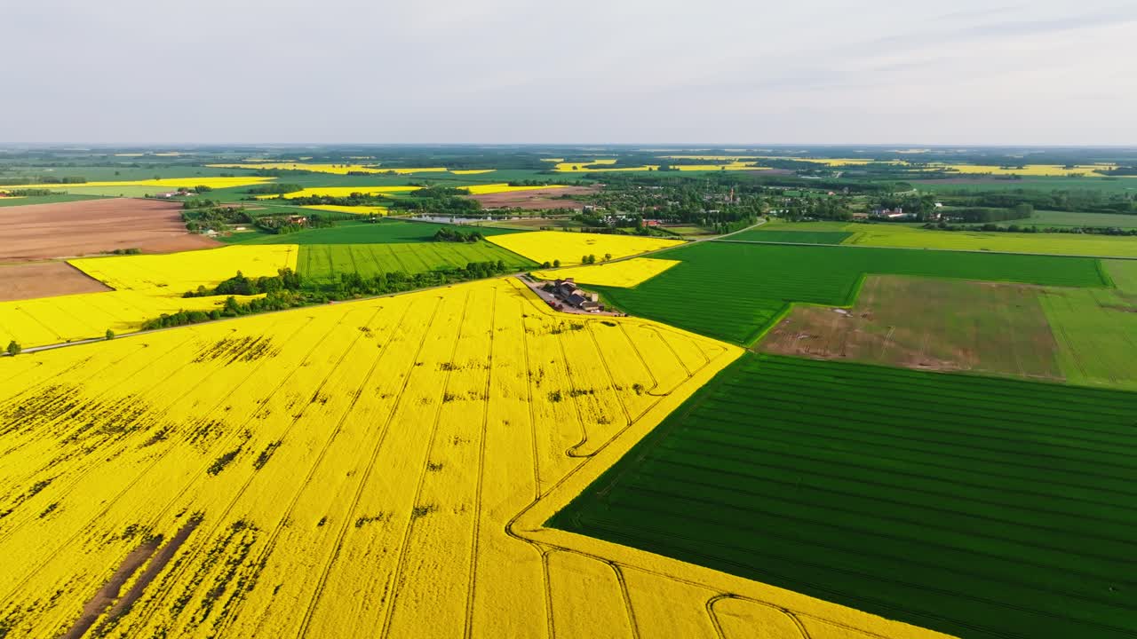 Soft shadows stretch across fertile green fields as drone climbs steadily higher
