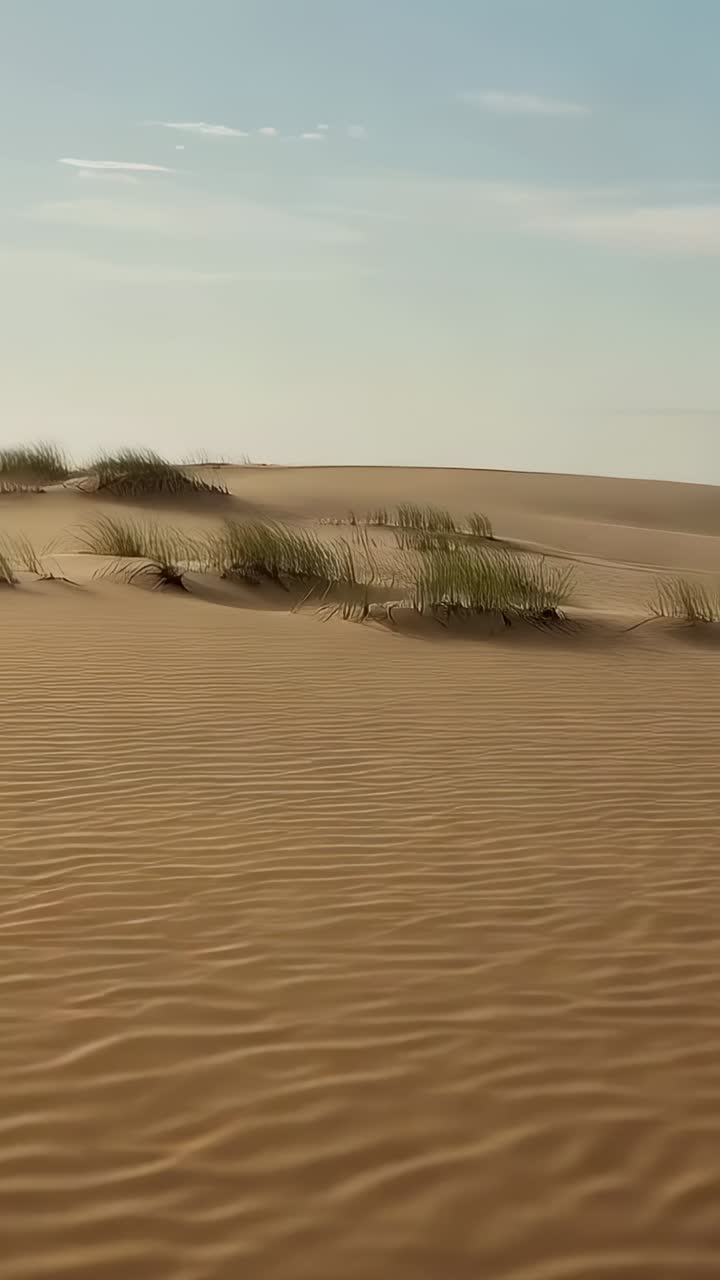 Video verticale: camera che scivola rivelando dune di sabbia ed erba rada sulla costa aprendosi sull'orizzonte