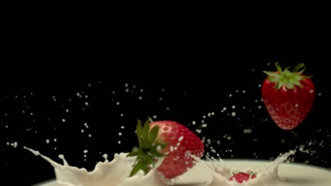 delicious red strawberries falling in milk, super slow motion