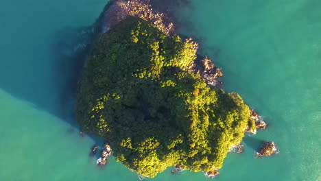 Isla-En-Forma-De-Rosquilla,-Santuario-De-Vida-Silvestre-En-Nueva-Zelanda