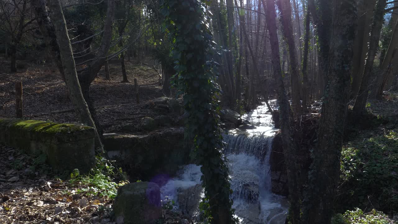 escena de la naturaleza en el bosque con un arroyo natural de agua dulce y una cascada todavía filmada
