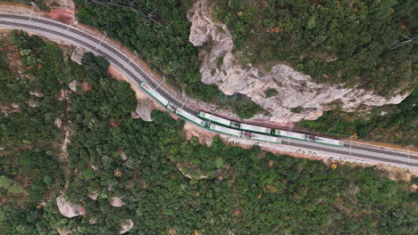 una toma de drone de arriba hacia abajo que muestra dos trenes que pasan elegantemente el uno al lado del otro a lo largo de un acantilado verdoso y exuberante, todo bajo la tranquilidad de un día nublado
