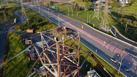 2-Fischadler-Mit-Ihrem-Nest-Auf-Dem-Strommast,-Rechts-Drehen