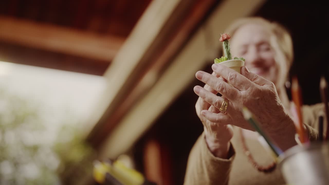 Senior woman holding a small potted succulent