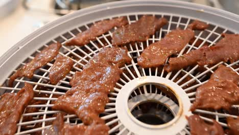 seasoned beef jerky with a food dehydrator