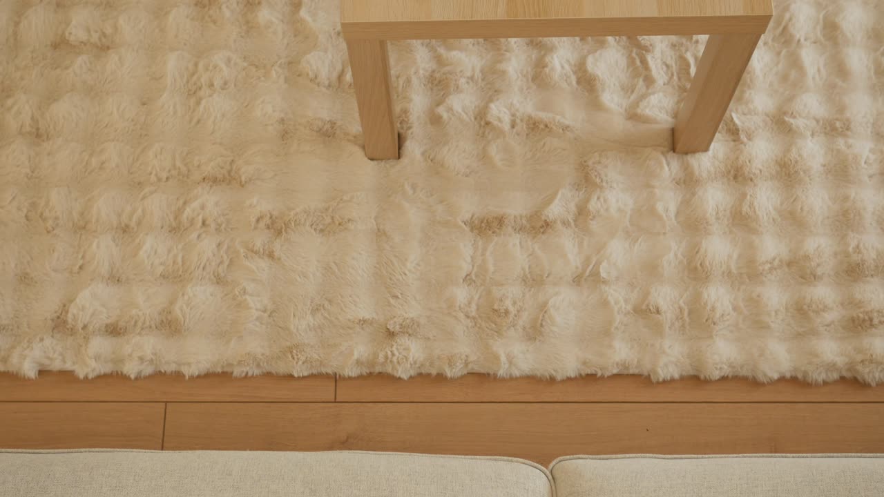 Cozy Living Room with Fluffy Beige Rug and Wooden Table