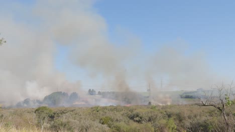 incendio forestal con humo cerca de la línea de transmisión de energía