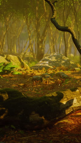 escena de un bosque de niebla