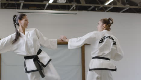 Two girls practising kicks