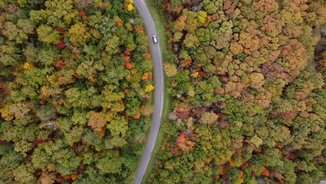 Vista-De-Drones-De-Un-Automóvil-En-Una-Carretera-De-Campo-En-Francia-A-Través-Del-Bosque-De-Colores-Otoñales,-Paisajes-Escénicos-Y-Naturaleza