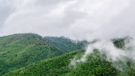 misty mountainscape