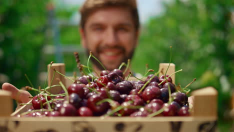 el granjero muestra las bayas de cerezo mirando a la cámara en la casa de la plantación del huerto de frutas.