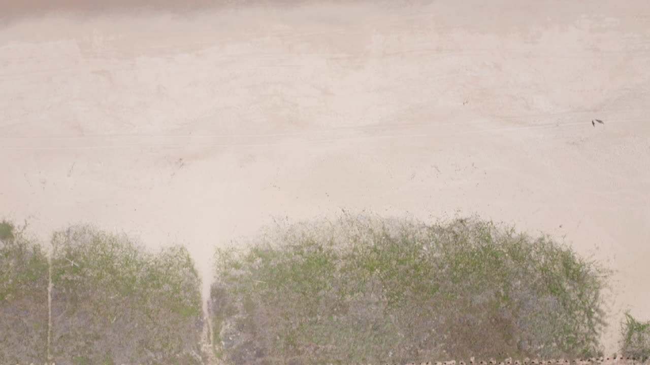 공중 - 아름다운 포르토 데 갈린하스 해변, 이포주카, 브라질, 위 아래 앞으로