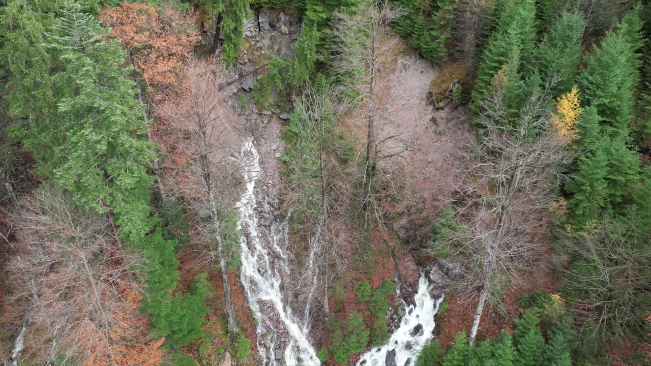 Aerial View of Waterfall in Forest during Autumn