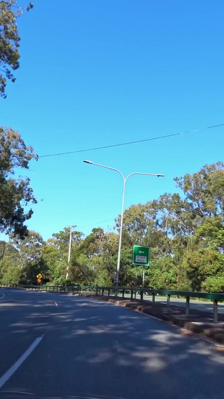 Conduciendo por una carretera panorámica con señalización de zona de koalas