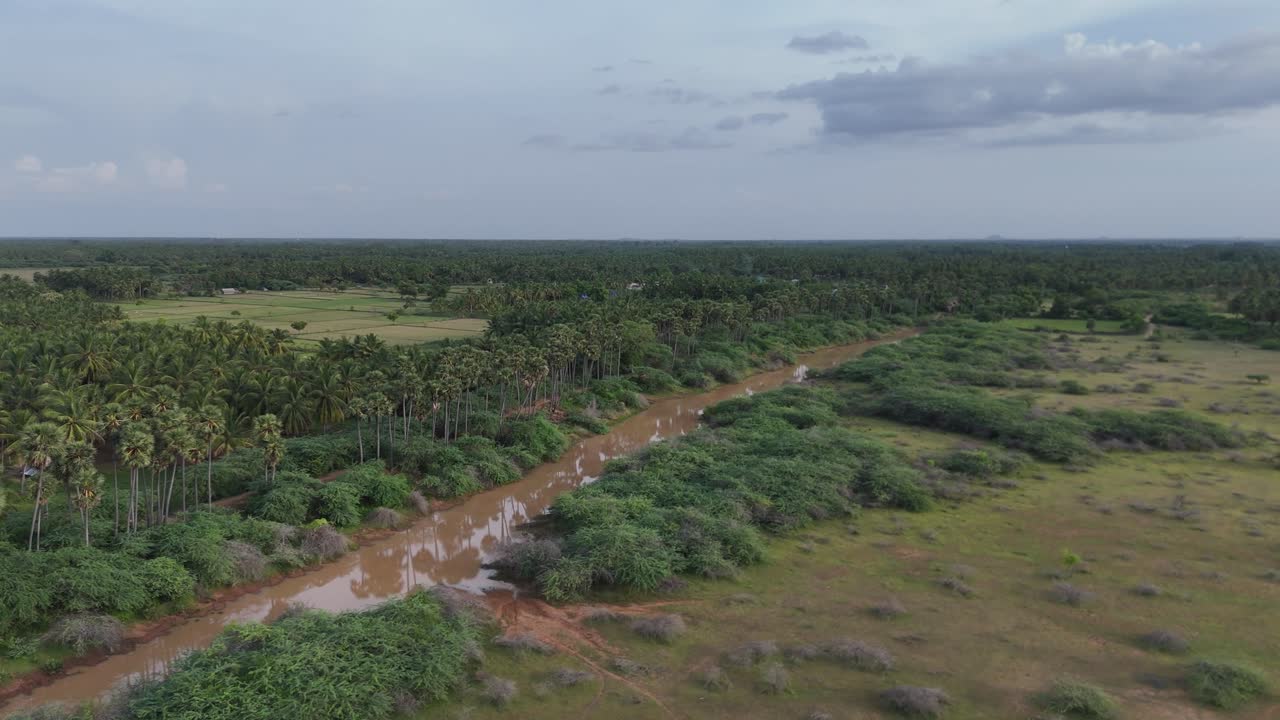 Aerial View of Lush Tropical Landscape with Palm Trees and River