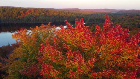 Drone-approaching-the-scenic-landscape-of-La-Vérendrye-Wildlife-Reserve,-located-in-Montréal,-Québec,-in-Canada