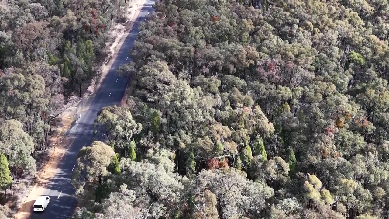 Prise de vue aérienne par drone suivant une camionnette blanche roulant sur une autoroute rurale à travers la forêt de Goonoo