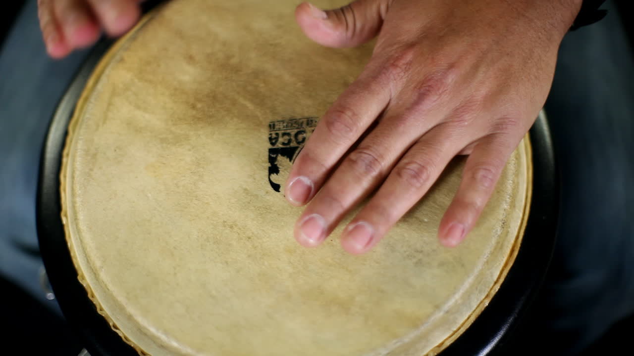 circuito del congo 24