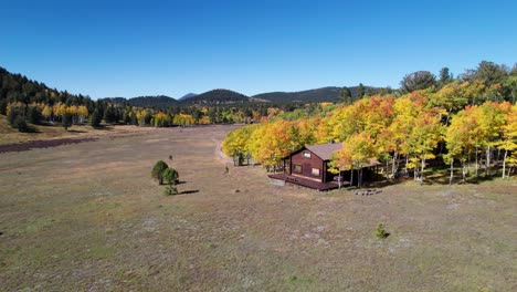 A-small-cabin-nestled-in-the-trees