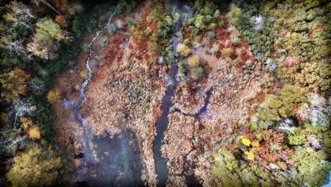 Pantano-En-El-Bosque-De-Follaje-De-Otoño-Girando-Desde-Arriba-Por-La-Tarde