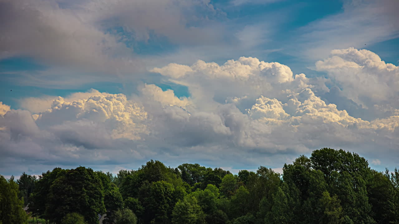 nubes cumulonimbus se desarrollan y se desplazan a través de las copas de los árboles de un bosque con cielos azules en un timelapse de movimiento