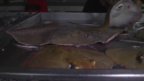 Fish-at-the-fishermen's-market,-stingrays