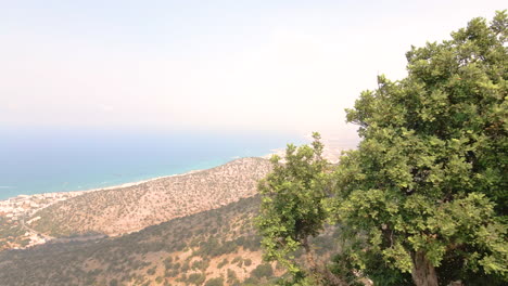 tree revealed the mediterranean island of crete on a misty morning in greece south coast