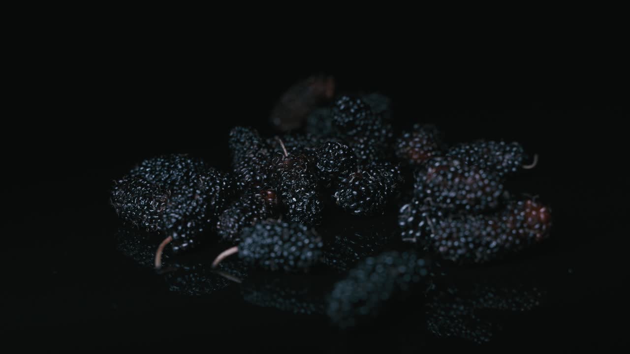 Blackberry fruit is very tasty and has a lot of nutritional value
