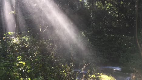 Regen-Im-Regenwald-Mit-Sonnenstrahlen,-Die-Durch-Das-Laub-Scheinen