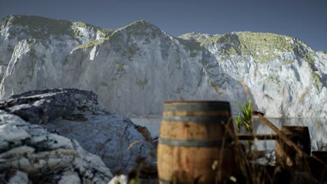 wooden-barrels-with-sea-fish-at-the-sand-beach