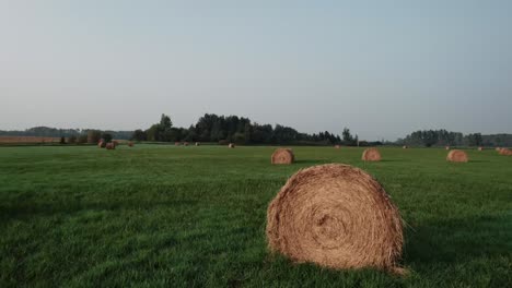 campo dorado después de la cosecha, balas de heno, vista aérea