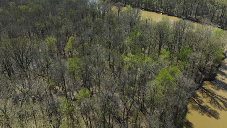 Above-View-Of-Channels-In-the-Lower-Hatchie-National-Wildlife-Refuge,-Tennessee,-United-States