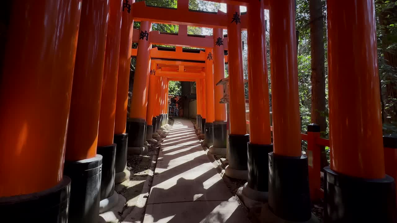 Camminata in slow motion con angolazione bassa attraverso gli archi di Fushimi Inari Taisha a Kyoto, Giappone