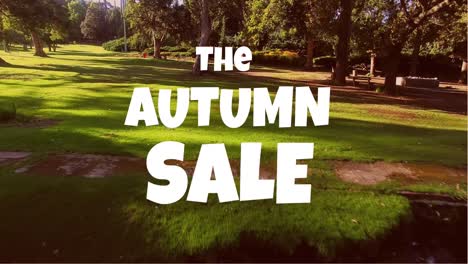 Digitally-generated-video-of-autumn-sale-4k